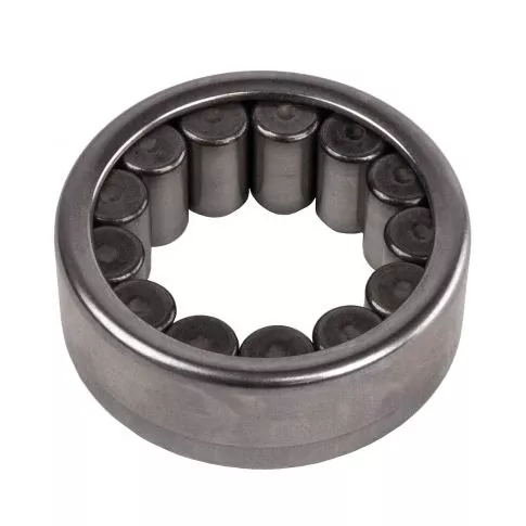 12479031 Bearings