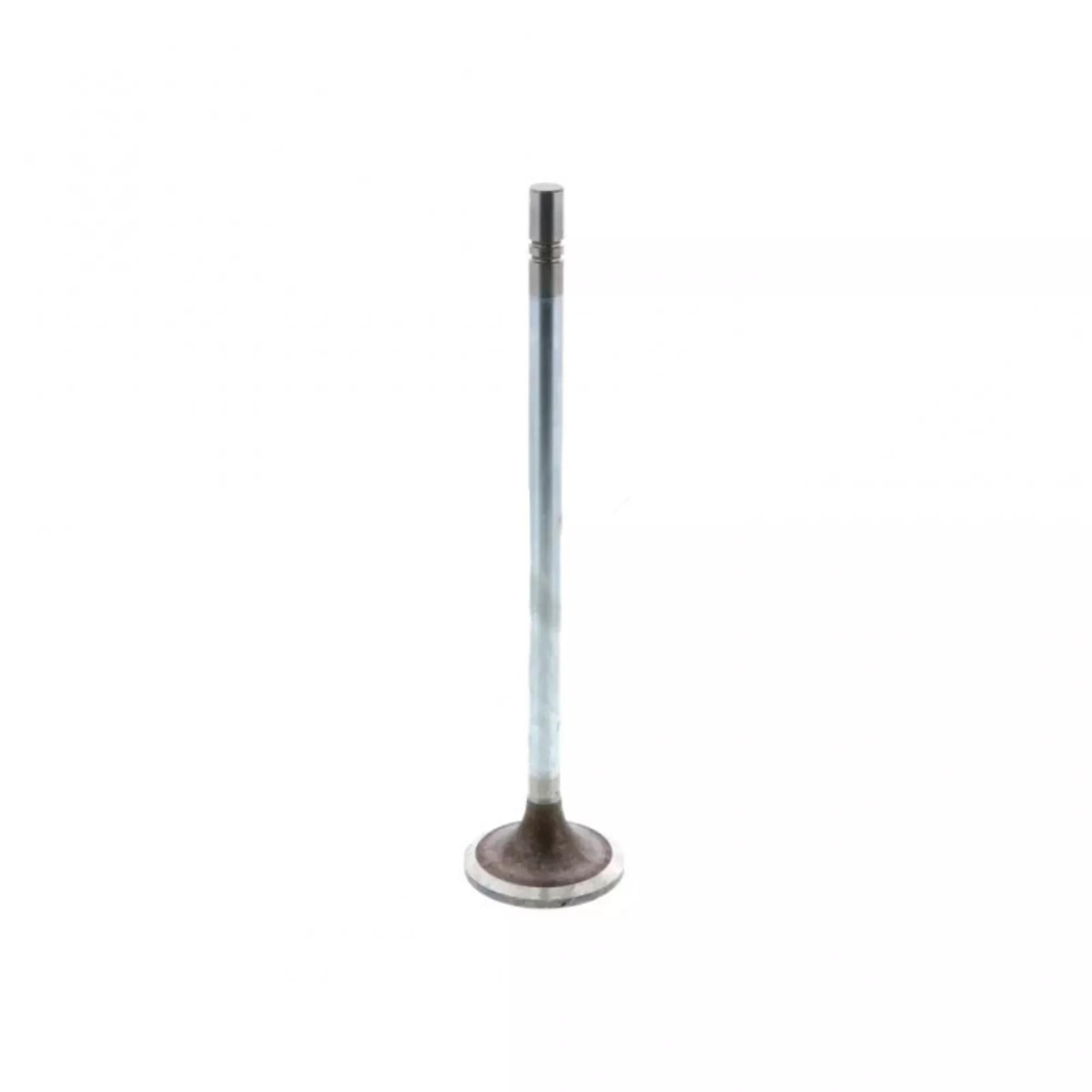 Caterpillar/C15 236-5605 Intake Valve PAI 391954 (Pack2)
