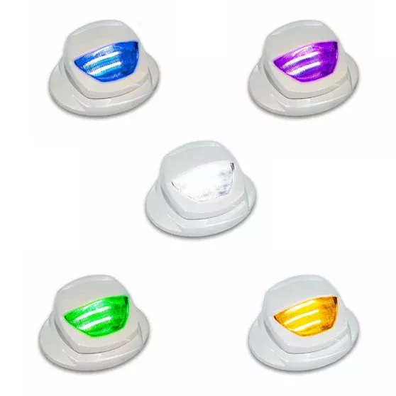 Kenworth Mini Courtesy Step LED Light With Auxiliary