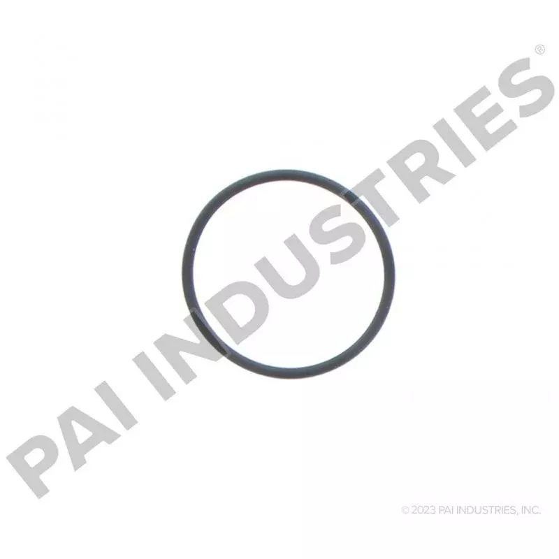 PACK OF 10 PAI 421235 NAVISTAR 1873909C1 FUEL FILTER O-RING (967944) (USA)