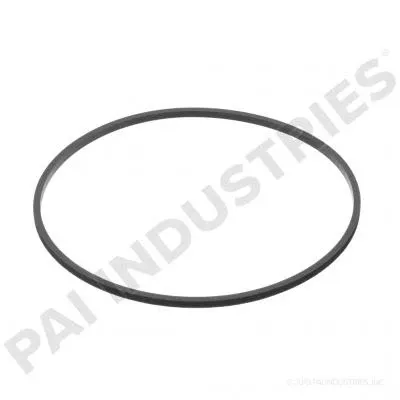 PACK OF 10 PAI 421273 NAVISTAR 1817862C1 RECTANGULAR SEALING RING (USA)