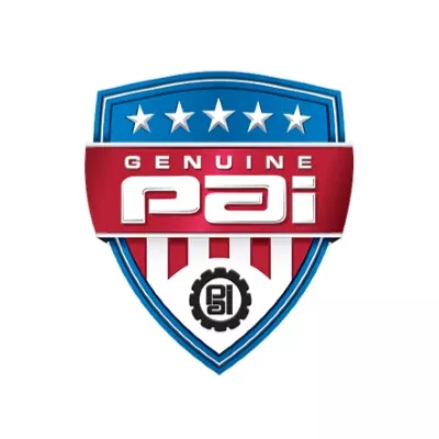 PAI 497095 NAVISTAR 1665325C91 KIT,I.A.DIFF