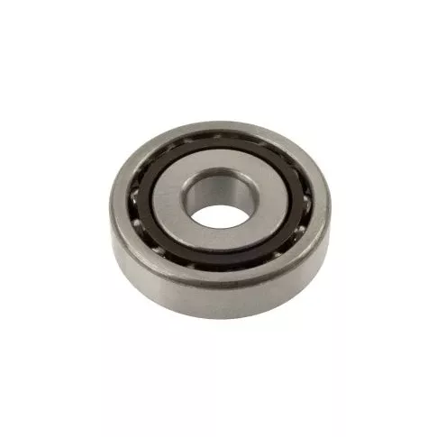 SF0499 Bearings